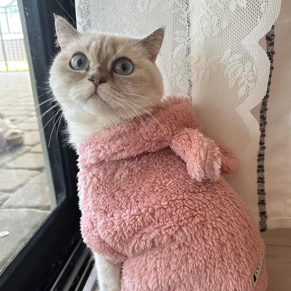 Fleece Warm Cat Costume for Winter Autumn Cute Soft Cats Clothes for Small Medium Dog Kitty Kitten Sweater Funny Pet Coat Sphynx