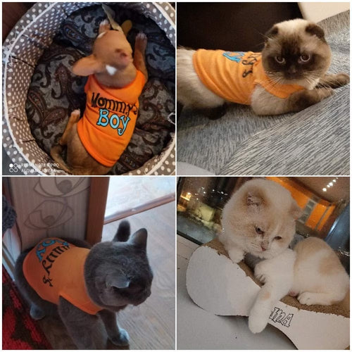 2-Pack Mommy'S Boy Dog Shirt Male Puppy Clothes for Small Dog Boy Chihuahua Yorkies Bulldog Pet Cat Outfits Tshirt Apparel (Small, Gray+Orange)