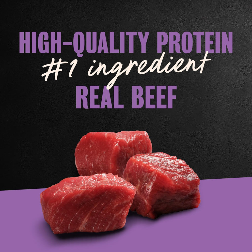 Classic Loaf in Sauce Wet Dog Food, Filet Mignon, 3.5 Oz, 24 Count | Made in USA, Real Beef #1 Ingredient, No Fillers/Added Sugar/Artificial Flavors, Use as Meal or Topper, Easy Peel Trays
