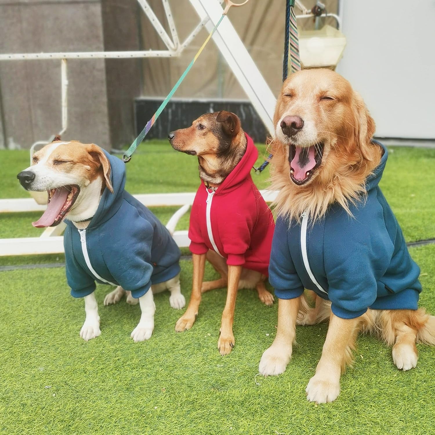 Large Dog Hoodie Clothes, Red, 8XL | Large Dog Clothes, Hoodie, Red, 8XL