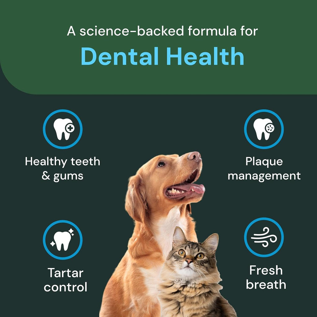 Dental Care Powder - Dental Supplement Powder for Dogs & Cats - Supports Breath Freshening - Healthy Teeth & Gums - Easy-To-Use Oral Hygiene for Pets - 16 Oz