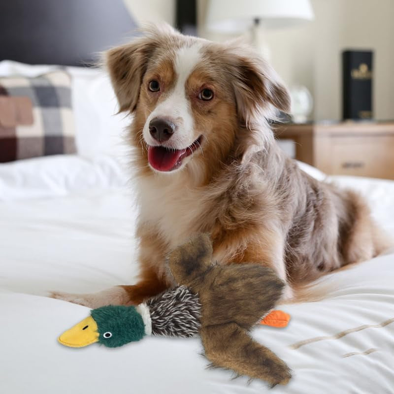 Mallard Dog Toy Squeaky Dog Toys,Wild Duck Interactive Chew Toys Stuffed Teething Toys for Large Medium Small Dog,Mallard Dogs Toys Squeaky Toy to Keep Them Busy (R-2Duck)
