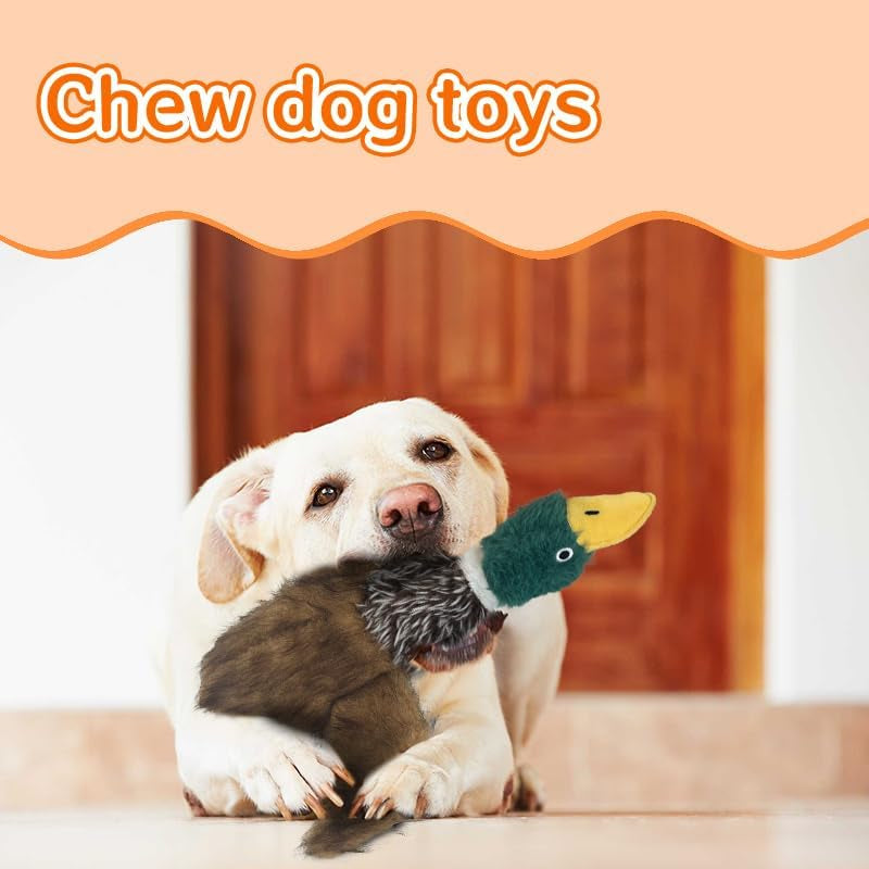 Mallard Dog Toy Squeaky Dog Toys,Wild Duck Interactive Chew Toys Stuffed Teething Toys for Large Medium Small Dog,Mallard Dogs Toys Squeaky Toy to Keep Them Busy (R-2Duck)