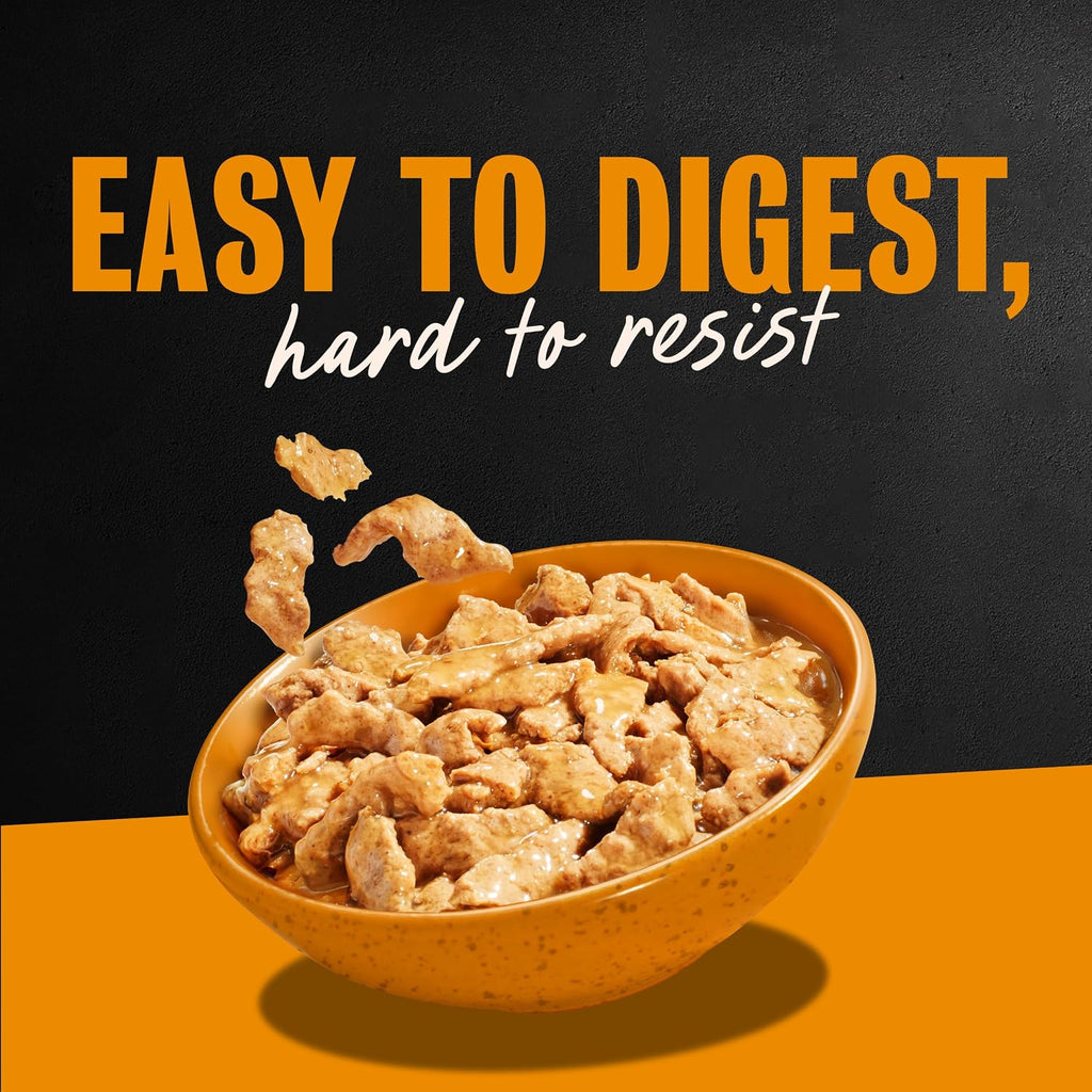Filets in Gravy Wet Dog Food, Rotisserie Chicken, 3.5 Oz, 24 Count | Real Chicken #1 Ingredient, Easy to Digest, No Fillers or Artificial Flavors, Can Be Used as Food Topper, Easy Peel Trays