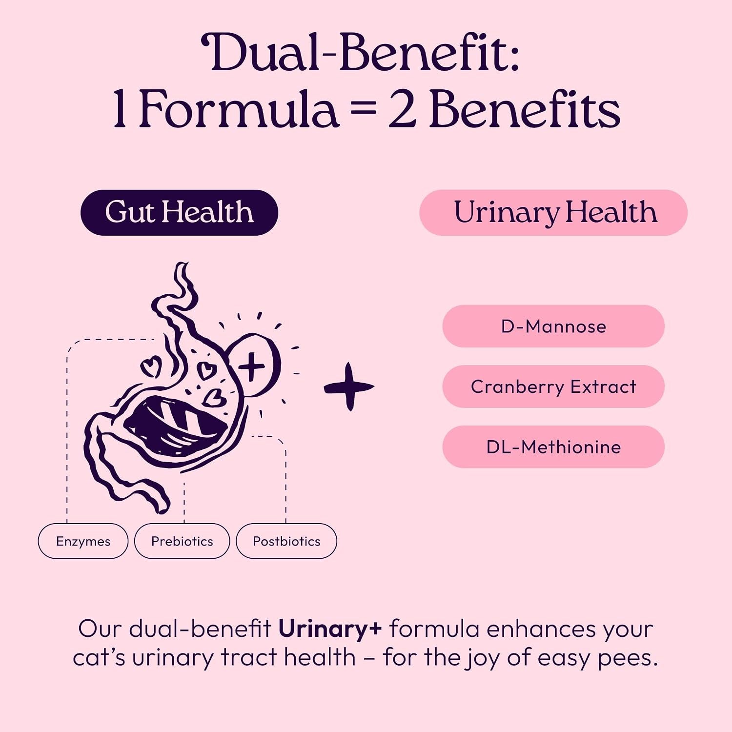 Urinary Cat Supplement + D-Mannose, Cranberry, Gutboost, 90Ct