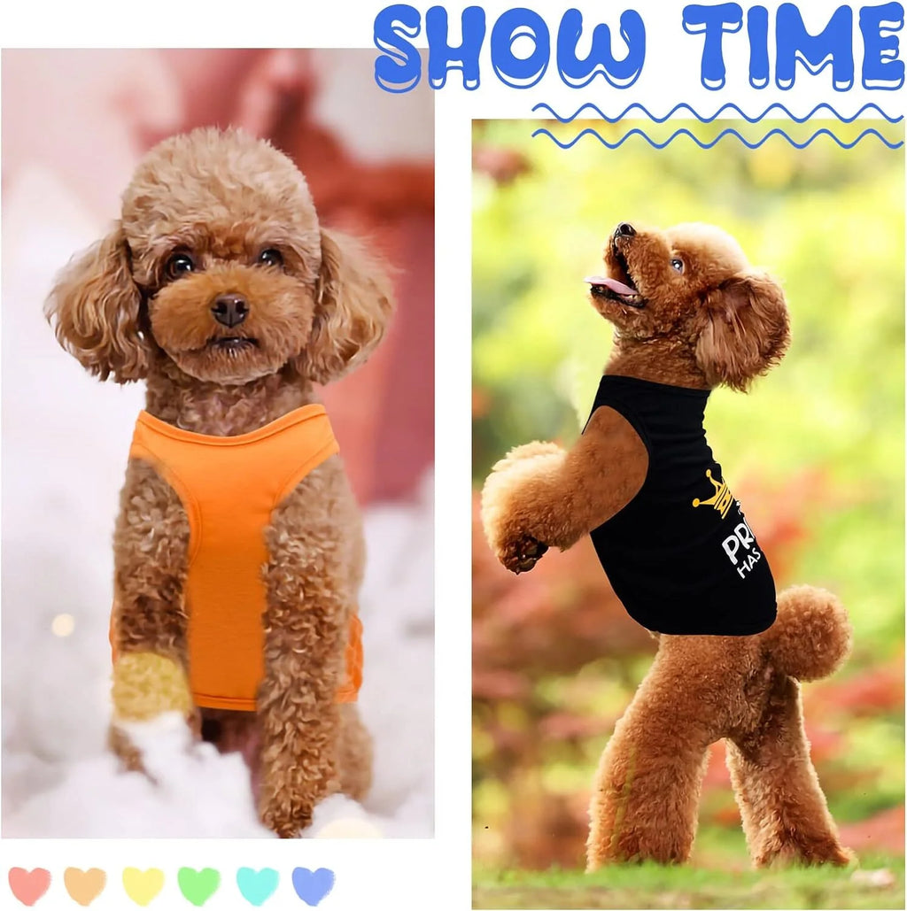 8 Pack Dog Clothes for Small Dogs Boy and Girl, Soft and Breathable Puppy Kitten Dog Shirts with Letters for Pet Dogs Cats,Dog T-Shirts Apparel Sleeveless Vests for Chihuahua Yorkies