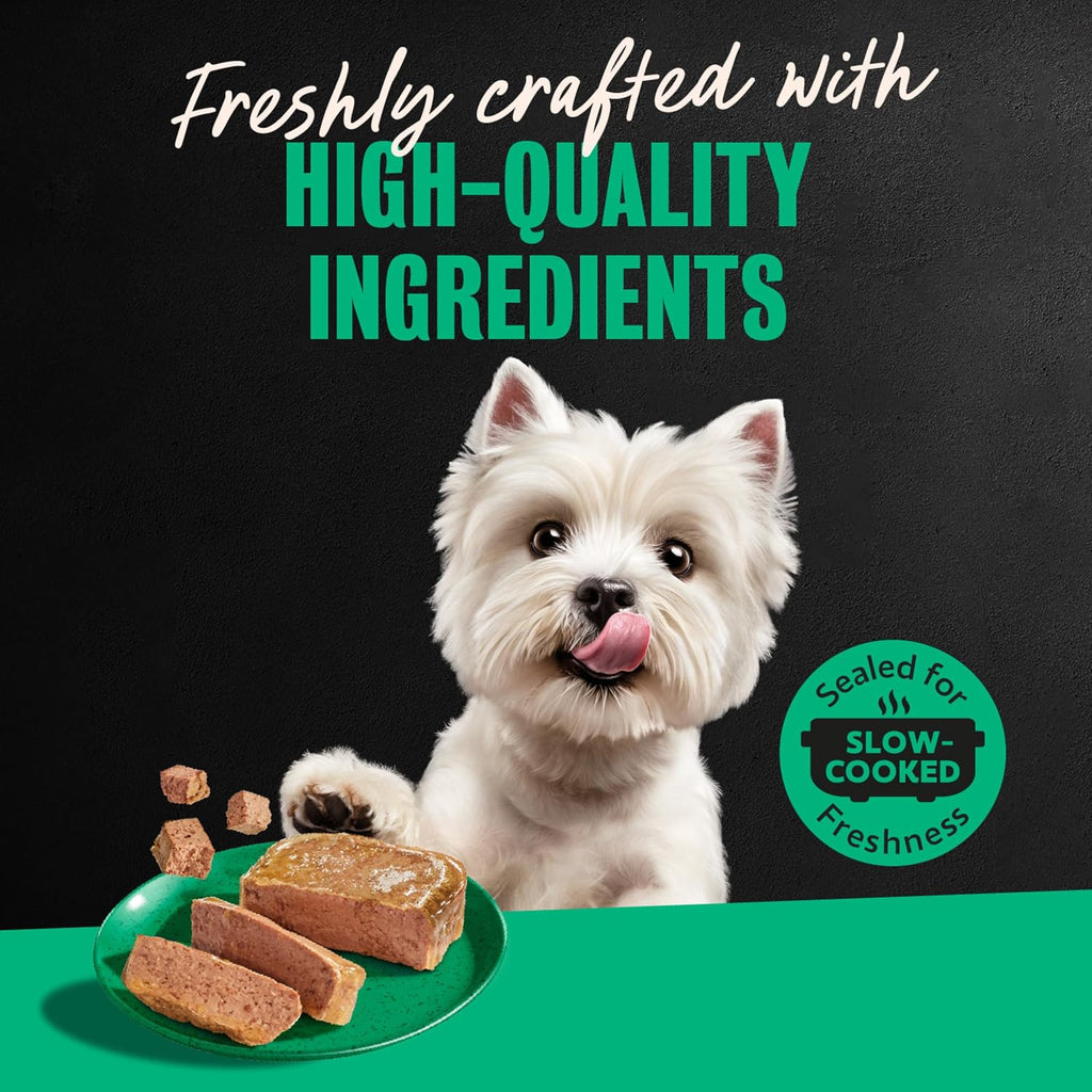 Classic Loaf in Sauce Wet Dog Food, Turkey Recipe, 3.5 Oz, 24 Count | Made in USA, Real Turkey #1 Ingredient, No Fillers, No Added Sugar, No Artificial Flavors, Slow-Cooked, Easy Peel Trays