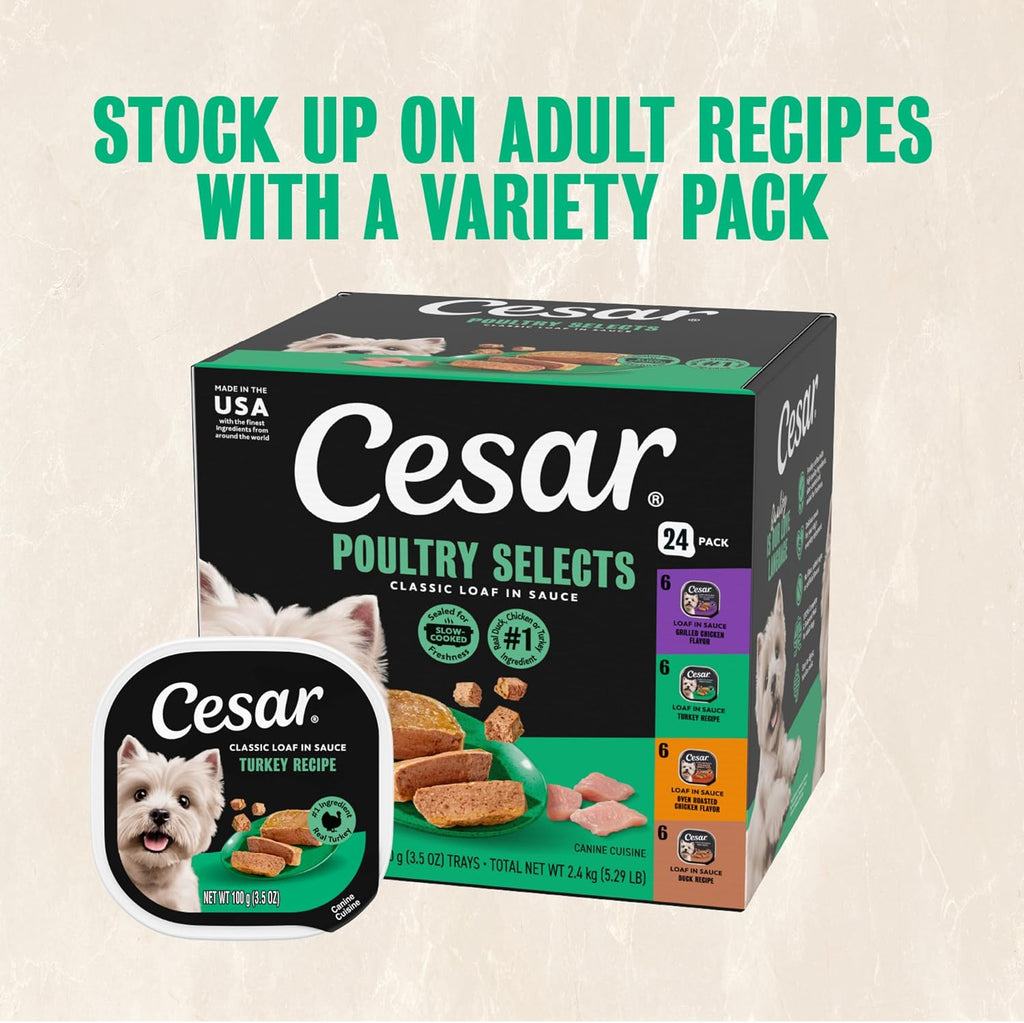 Classic Loaf in Sauce Wet Dog Food, Turkey Recipe, 3.5 Oz, 24 Count | Made in USA, Real Turkey #1 Ingredient, No Fillers, No Added Sugar, No Artificial Flavors, Slow-Cooked, Easy Peel Trays