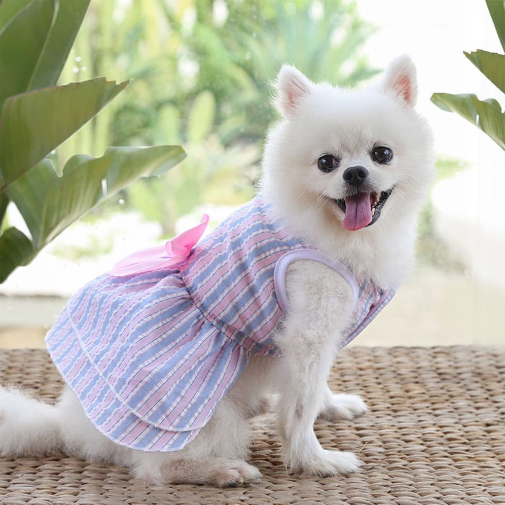 Clearance  Dog Dresses for Small Medium Dogs Girl, Pet Cat Princess Bowknot Dog Clothes, Cute Puppy Summer Outfits Skirt Shirt (Blue, L)
