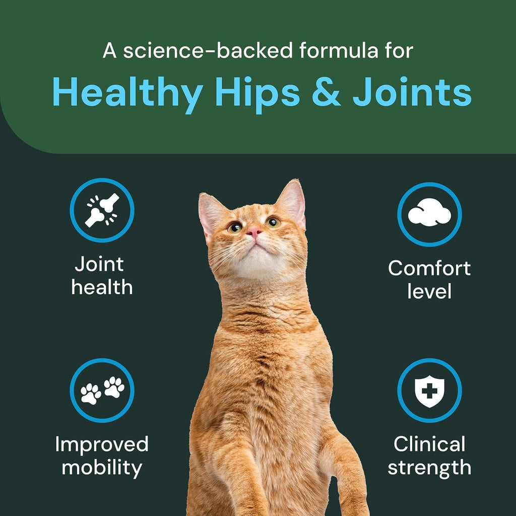 Veterinary Strength Healthy Hip & Joint Chews - Cat Joint & Soft Tissue Health Supplement for Mobility - Clinical Strength Formula - Chicken Flavor - 60 Count