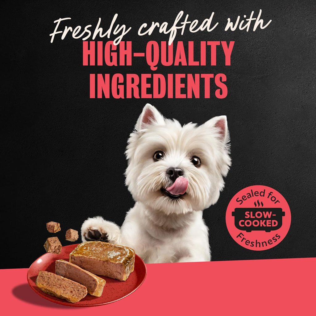 Classic Loaf in Sauce Wet Dog Food, Beef Recipe, 3.5 Oz, 24 Count | Real Beef #1 Ingredient, Made in USA, Easy Peel Trays, No Fillers/Added Sugar/Artificial Flavors, Use as Meal or Topper