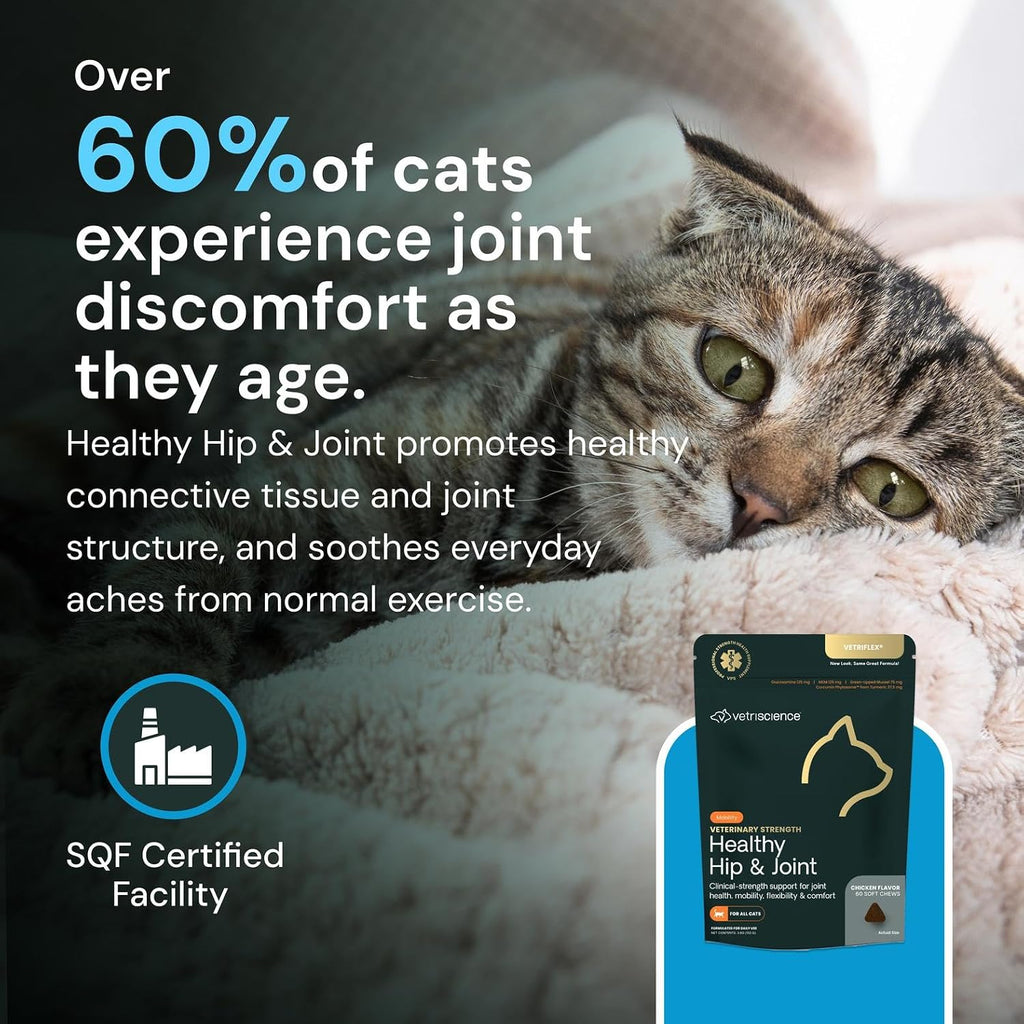 Veterinary Strength Healthy Hip & Joint Chews - Cat Joint & Soft Tissue Health Supplement for Mobility - Clinical Strength Formula - Chicken Flavor - 60 Count