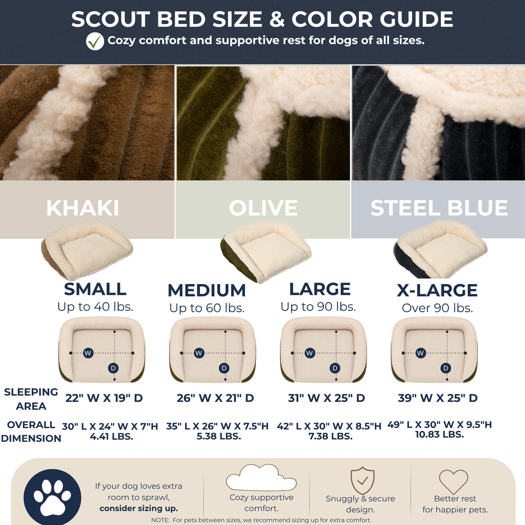 Scout Perfect Bolster Dog Bed