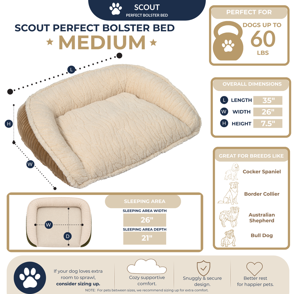 Scout Perfect Bolster Dog Bed