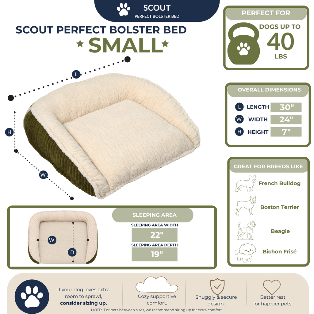 Scout Perfect Bolster Dog Bed