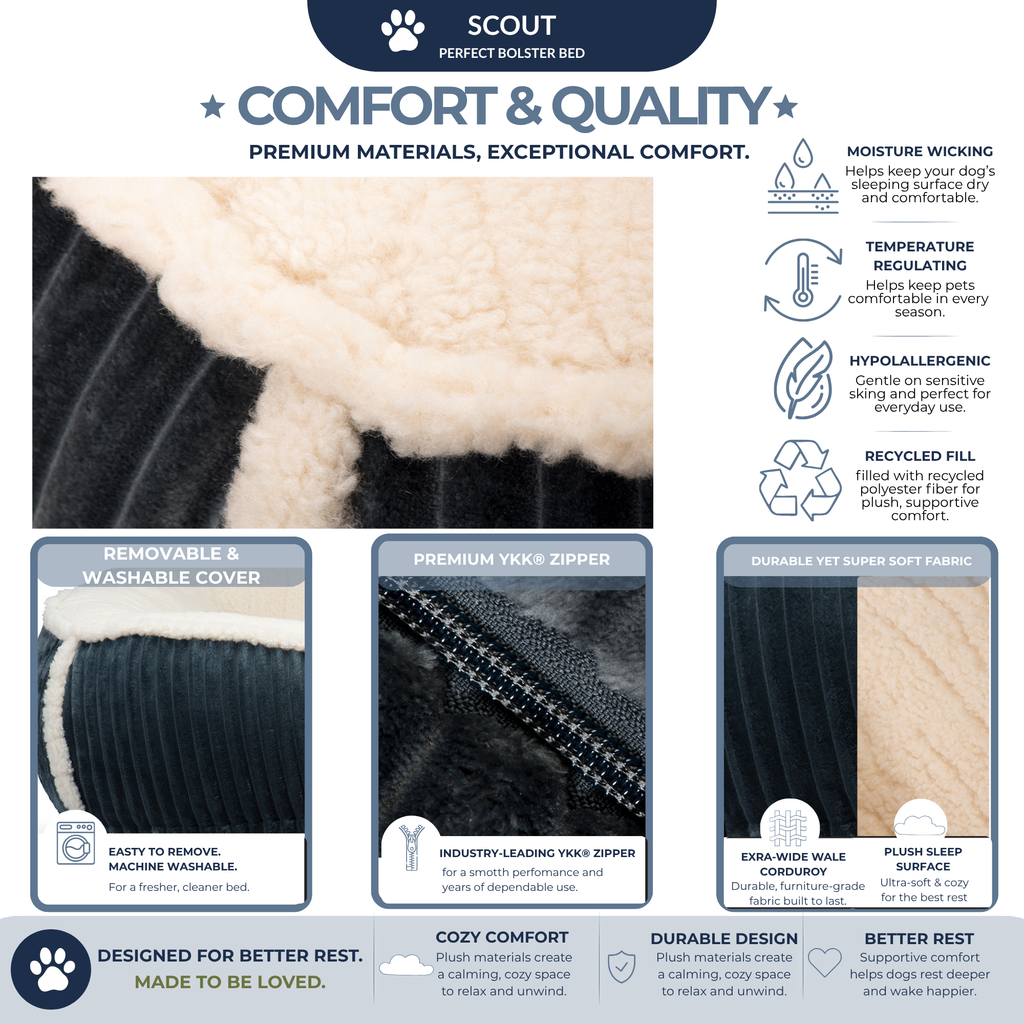 Scout Perfect Bolster Dog Bed