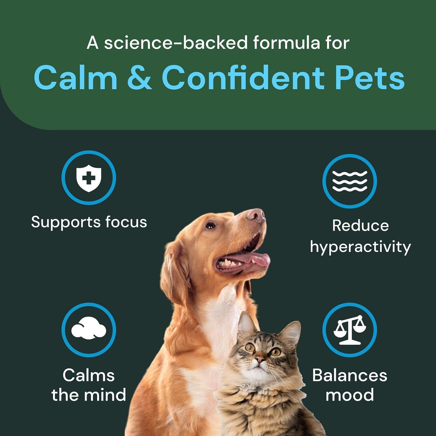 Veterinary Strength Calm & Confident Chews - Stress Supplement for Cats - Supports Brain Function for Cats - with L-Theanine, Thiamine & More - 45 Count