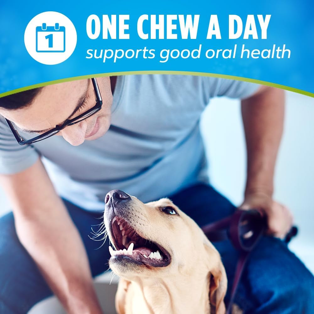 Activfresh Dog Chews for Mini and Small Dogs 5-20 Lbs., Dental Chews to Freshen Breath, Chicken Flavor, 16.9 Oz., 56 Chews - 56 Ct. Pouch
