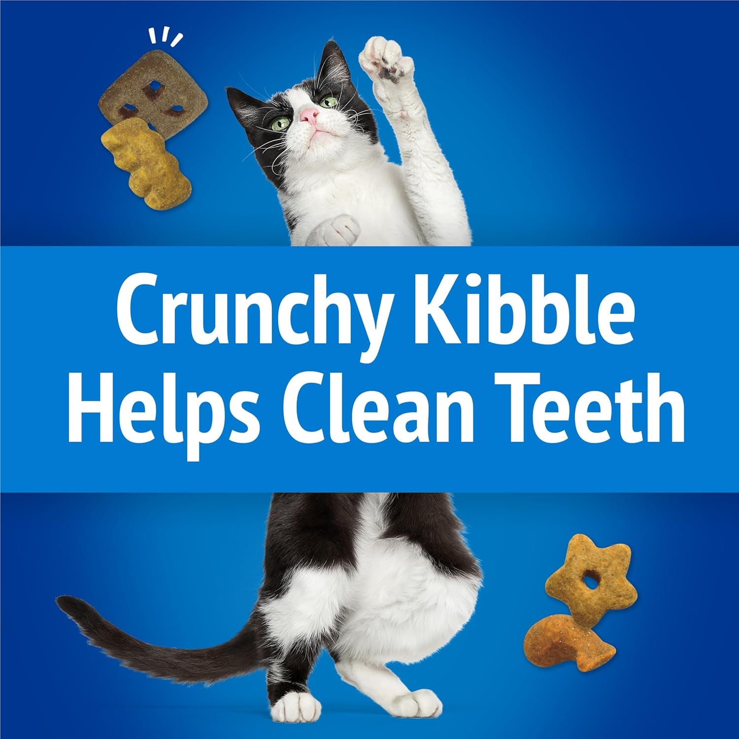 Purina Party Mix Beachside Crunch Treats, 30 Oz Pouch | Made with Real Ocean Whitefish as the Number One Ingredient, with Shrimp, Crab and Tuna Flavors in Every Bite for Adult Cats