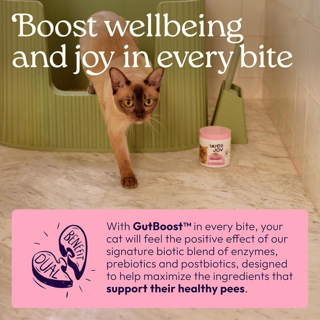 Urinary Cat Supplement + D-Mannose, Cranberry, Gutboost, 90Ct