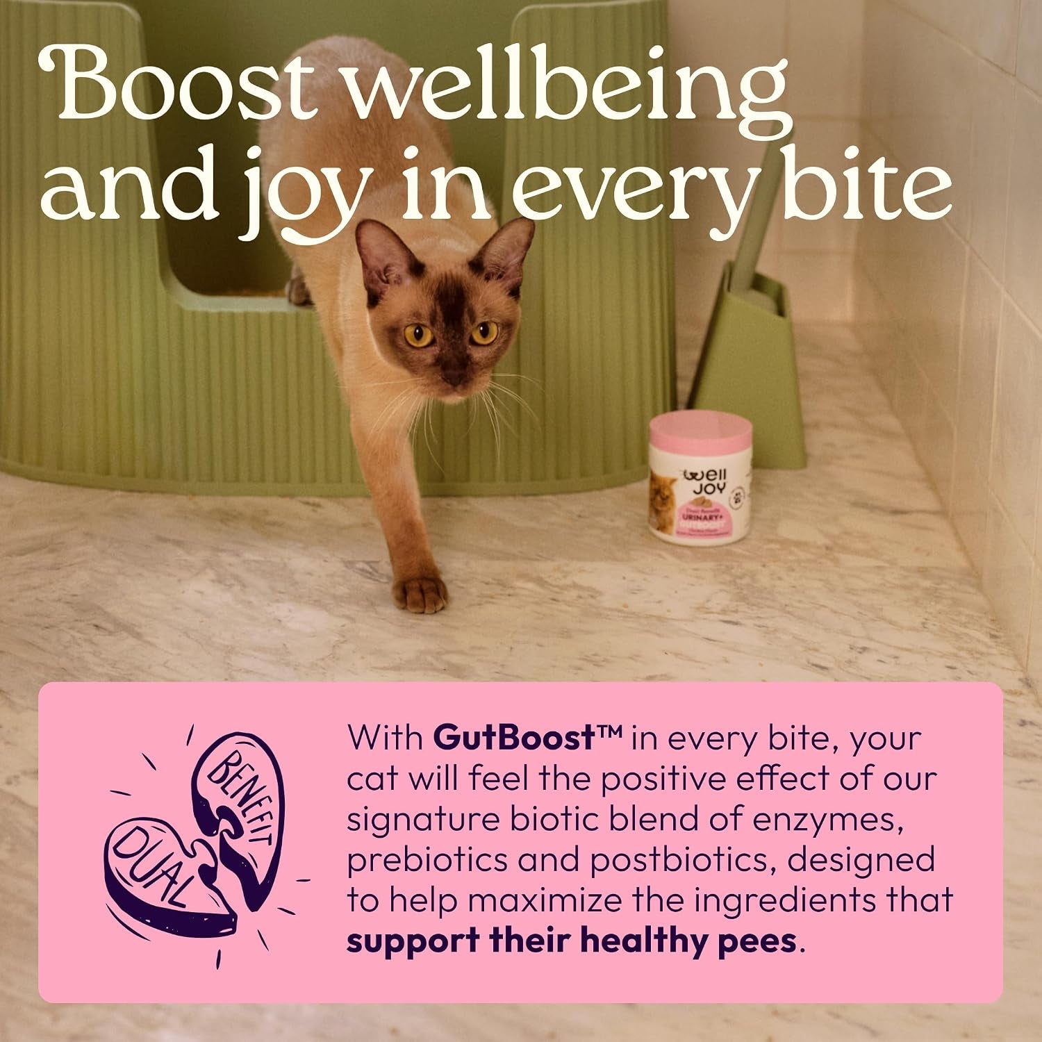 Urinary Cat Supplement + D-Mannose, Cranberry, Gutboost, 90Ct