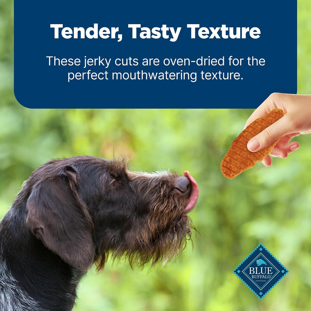 Nudges Jerky Cuts Chicken & Duck Dog Treats, 16 Oz | Real Chicken & Duck First, Made in the USA, No Corn, Wheat, or Soy
