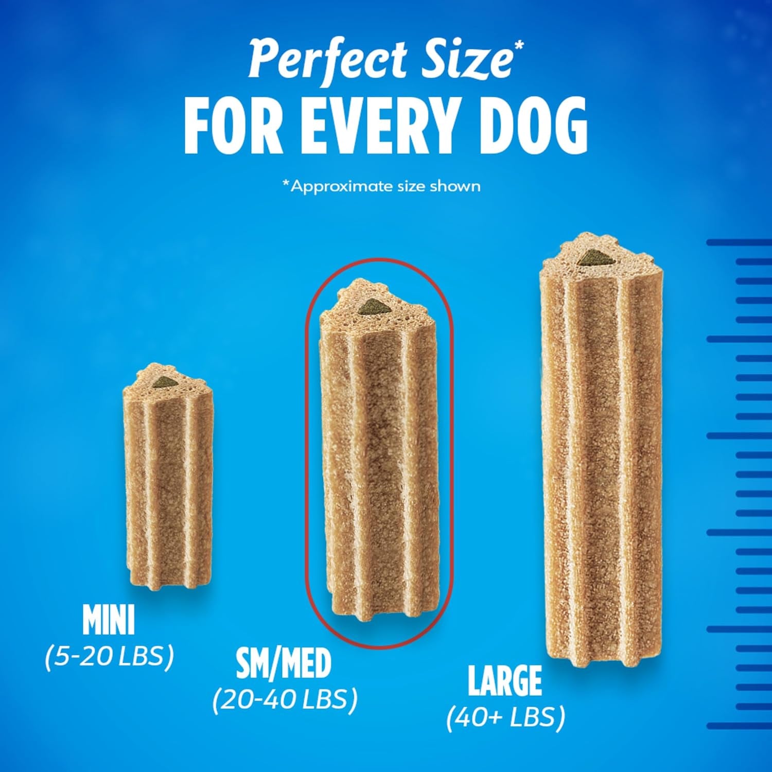 Activfresh Dog Chews for Small and Medium Dogs 20-40 Lbs., Dental Chews to Freshen Breath, Chicken Flavor, 15.5 Oz., 21 Chews - 21 Ct. Pouch