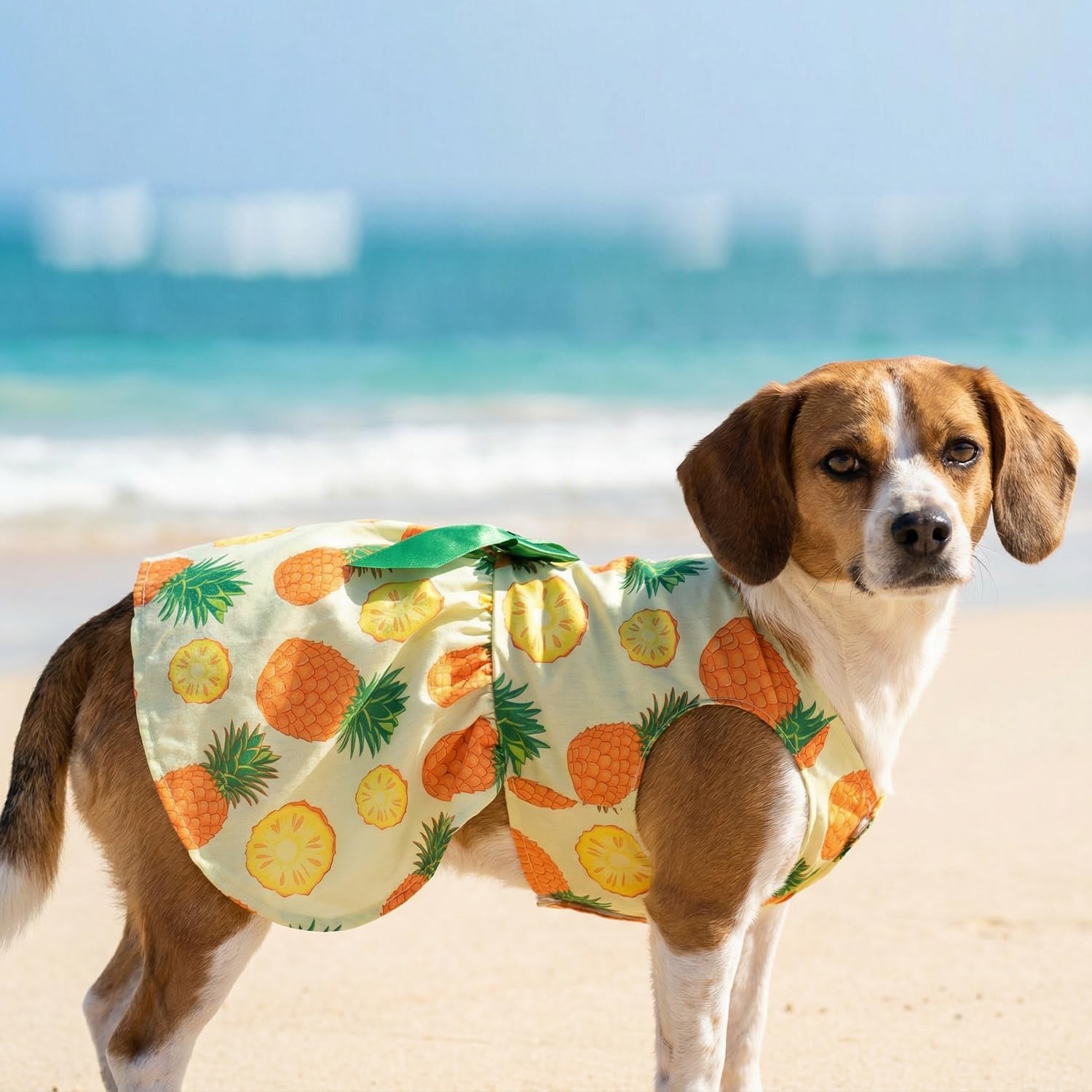 6 Pack Girl Dog Clothes Floral Summer Dog Dress Tropical Floral Princess Bowknot Pet Dresses for Small Dogs Girl Clothes Cute Outfits for Boys Girls Pets Cats Dogs