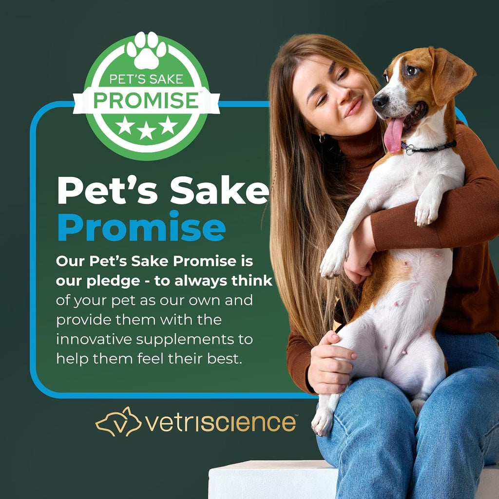 Veterinary Strength Calm & Confident Chews - Stress Supplement for Cats - Supports Brain Function for Cats - with L-Theanine, Thiamine & More - 45 Count
