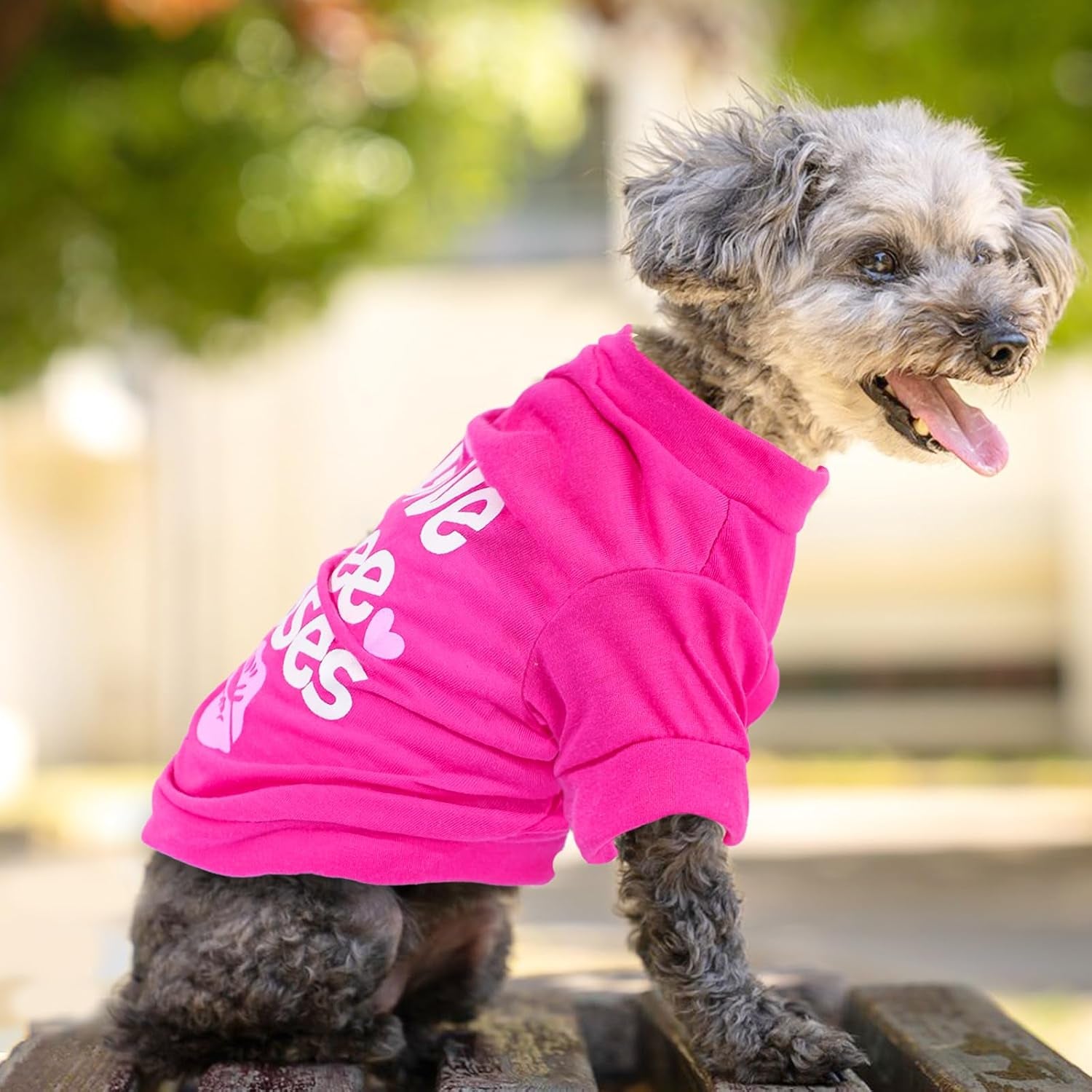 4 Pieces Dog Clothes for Small Dogs Girl Spring Summer Puppy Shirts Cute Soft Pet T-Shirt Cat Outfit for Pets Teacup Chihuahua Yorkie Clothing,Xx-Small