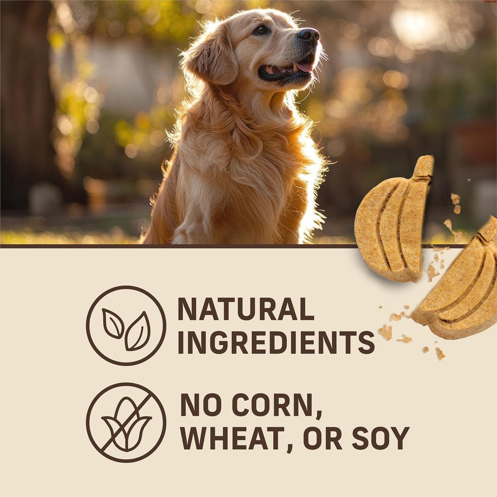 Oven Baked Dog Treats, Natural and Crunchy Bag of Treats, Pumpkin Patch with Real Pumpkin Snack | Natural, Crunchy Biscuits Hand Crafted in Small Batches with Only Seven Ingredients