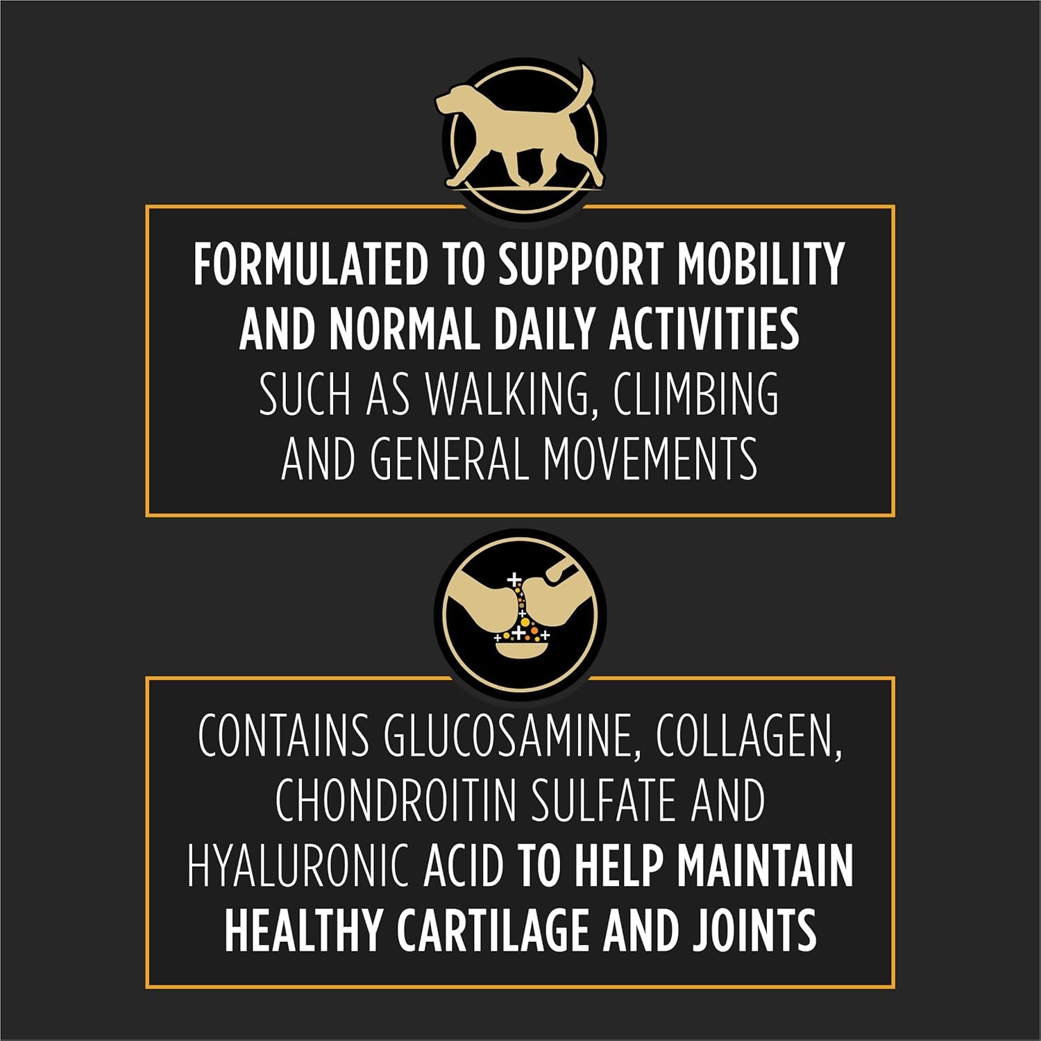 Joint Care Small Breed Dog Joint Supplement with Glucosamine Chondroitin Collagen and Hyaluronic Acid for Mobility Support, 30 Count