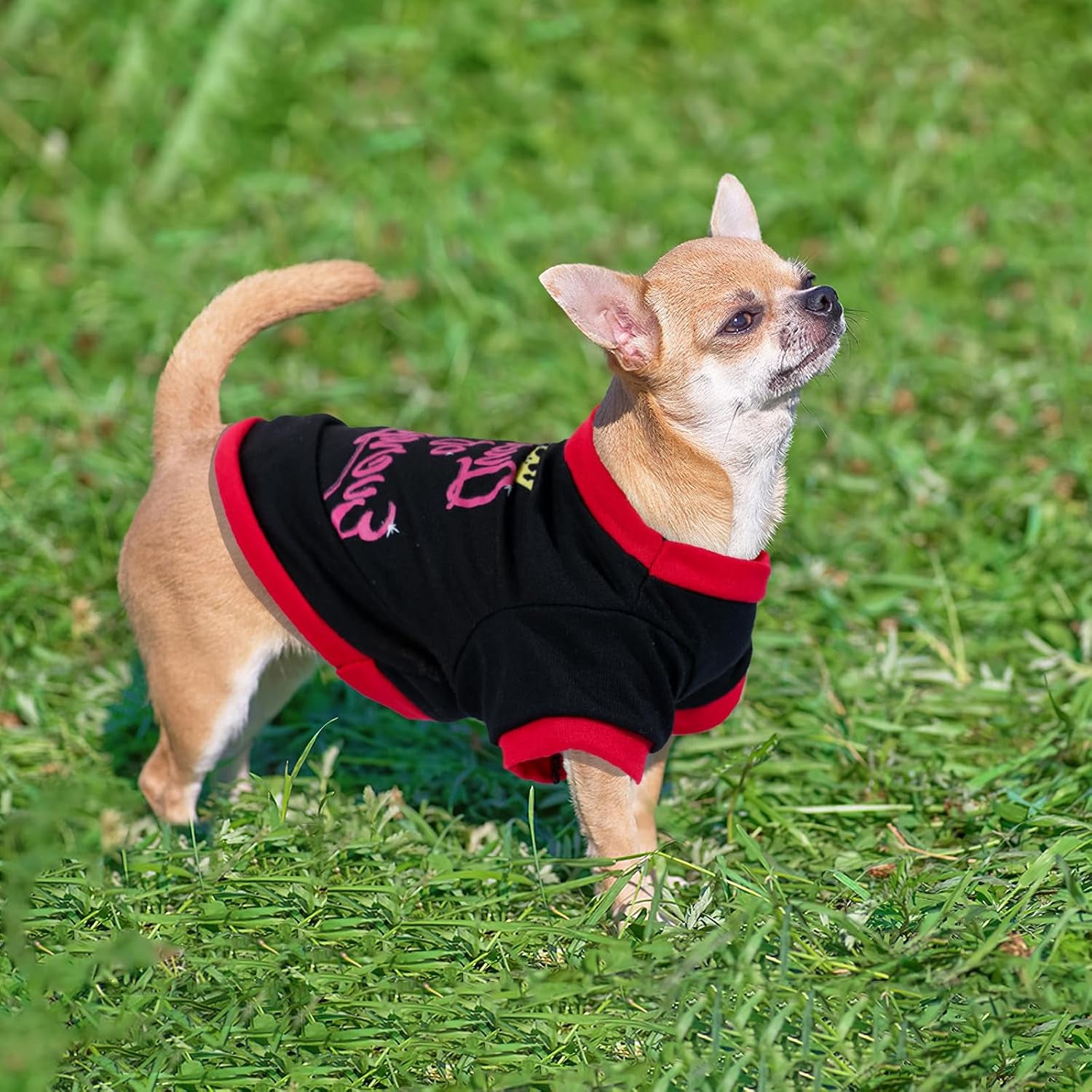 4 Pieces Dog Clothes for Small Dogs Girl Spring Summer Puppy Shirts Cute Soft Pet T-Shirt Cat Outfit for Pets Teacup Chihuahua Yorkie Clothing,Xx-Small