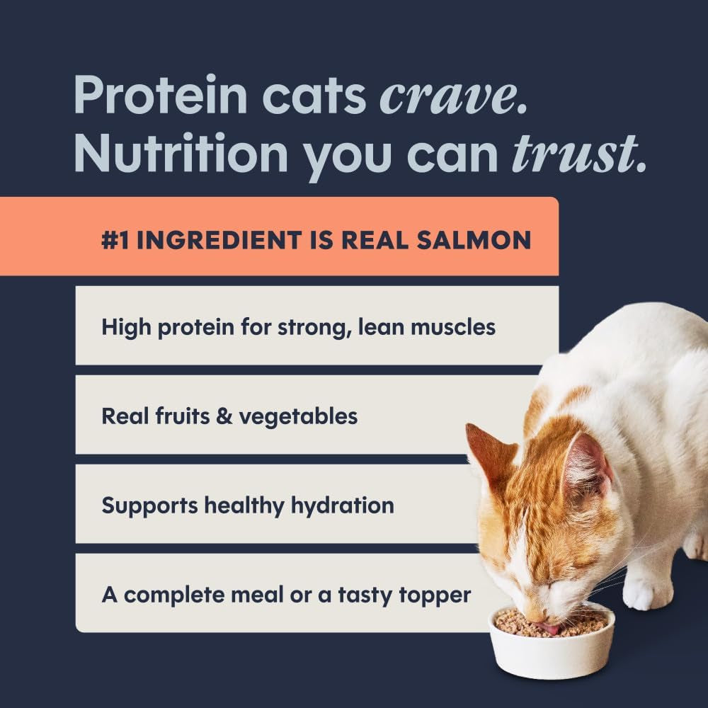 Original Grain Free Real Salmon Recipe Natural Wet Canned Cat Food by Nature'S Variety, 5.5 Oz. Cans (Case of 12) | Rich & Creamy Pate Texture, High Protein, Real Salmon, Whole-Food Ingredients, Grain-Free, Hydration Support
