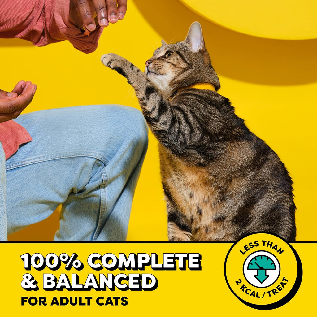 Wacky Blasts Cat Treats, Cluckin' Bacon Flavor, 6.3 Oz, 10 Pack | Chicken, Bacon & Catnip Flavor Bits, Crunchy Outside, Soft Inside, under 2 Cal, 100% Complete & Balanced, Resealable Pouch