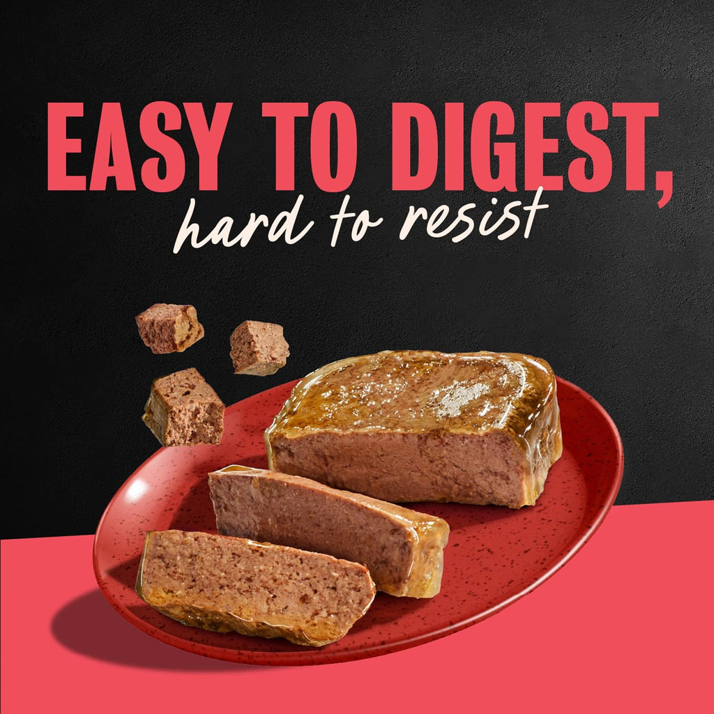 Classic Loaf in Sauce Wet Dog Food, Beef Recipe, 3.5 Oz, 24 Count | Real Beef #1 Ingredient, Made in USA, Easy Peel Trays, No Fillers/Added Sugar/Artificial Flavors, Use as Meal or Topper