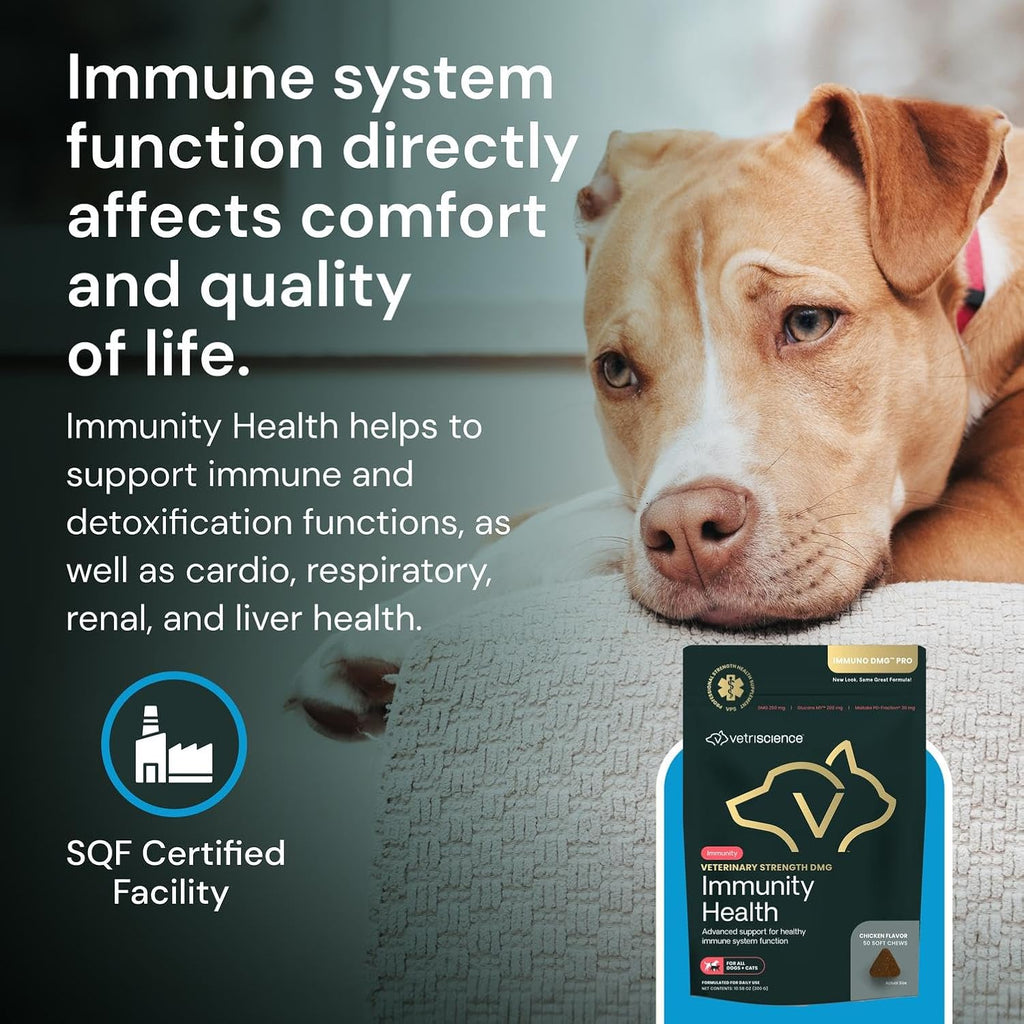 Veterinary Strength DMG Immunity Health Chews - Immune System Support for Dogs & Cats - Liver Aid - Antioxidant Support for Pets - Chicken Flavor - 50 Count