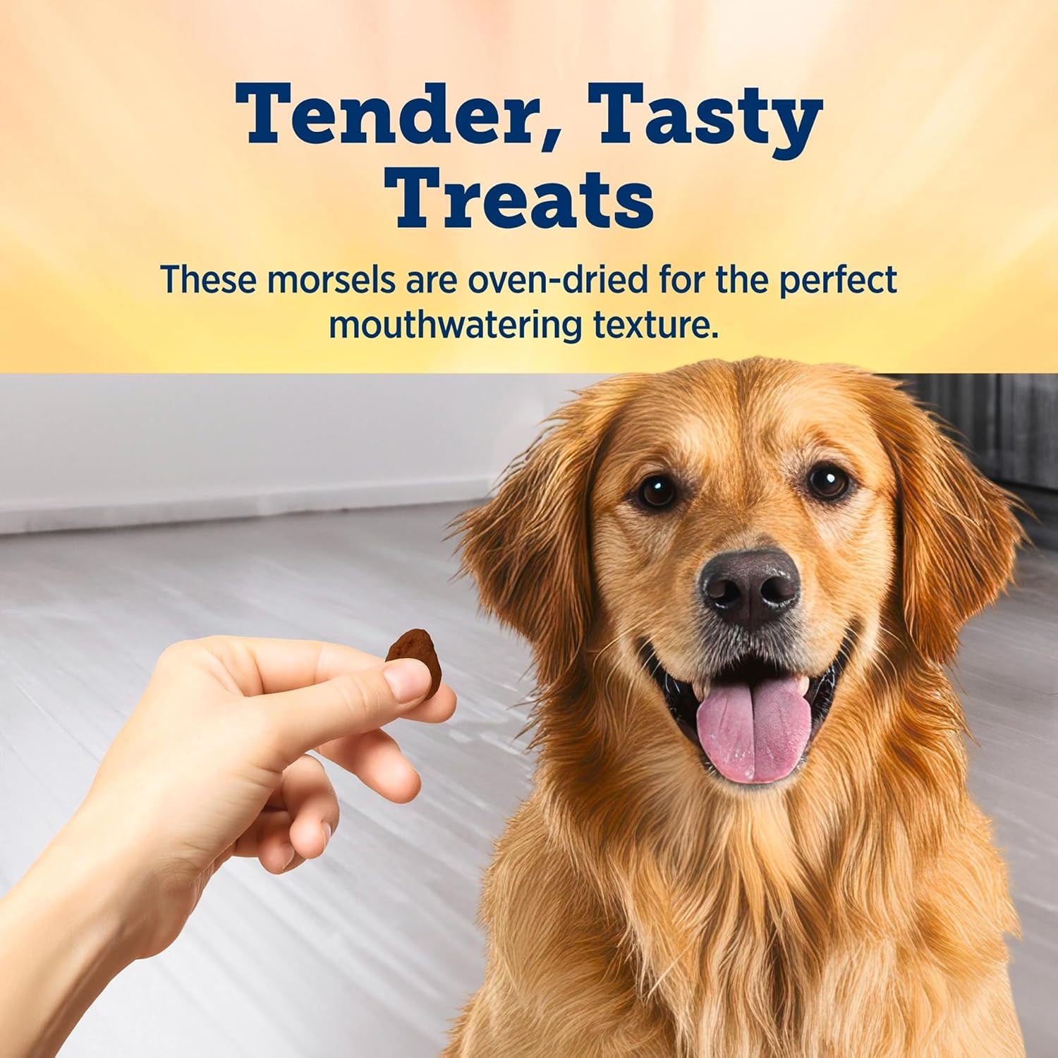 True Chews Premium Morsels Steak Dog Treats, 10 Oz | Real Beef First, Bite-Sized Tender Morsels, No Chicken By-Product, Corn, Wheat, or Soy