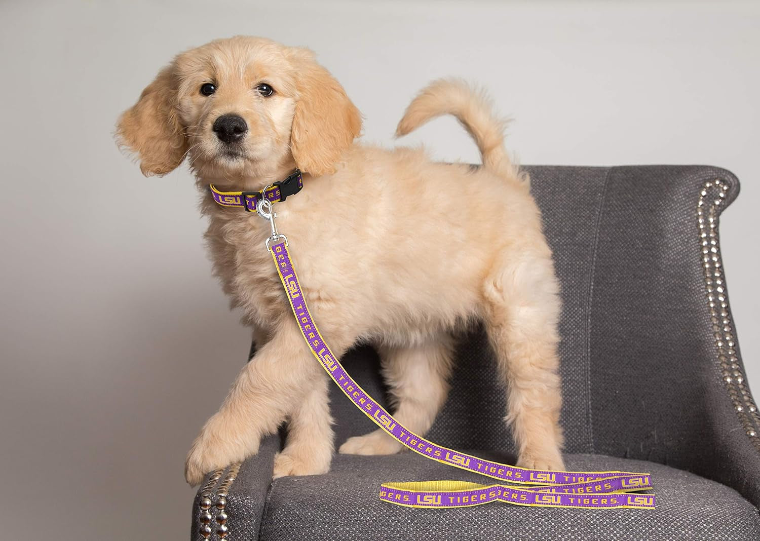 NCAA PET String, Large, LSU Tigers, Dog String, Shiny & Colorful String for Dogs & Cats Licensed by the NCAA, Old Version