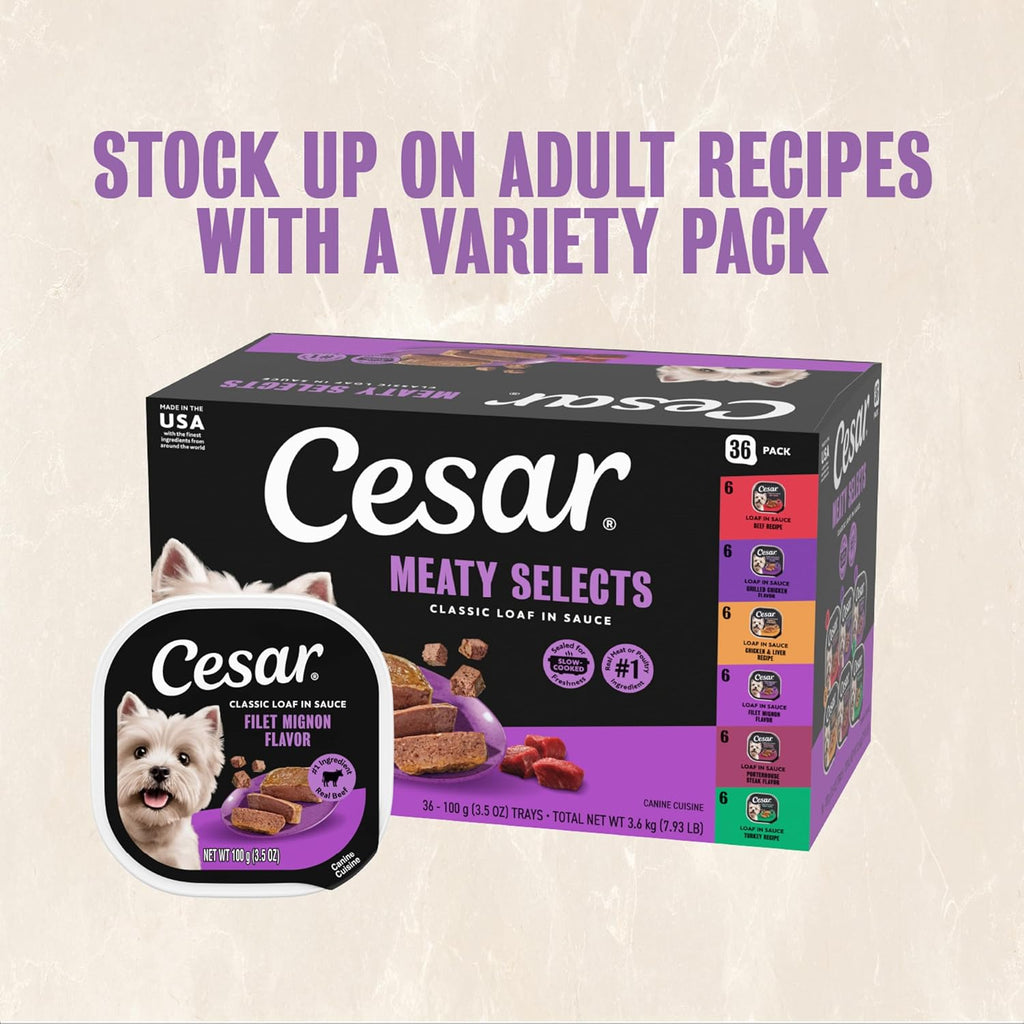 Classic Loaf in Sauce Wet Dog Food, Filet Mignon, 3.5 Oz, 24 Count | Made in USA, Real Beef #1 Ingredient, No Fillers/Added Sugar/Artificial Flavors, Use as Meal or Topper, Easy Peel Trays