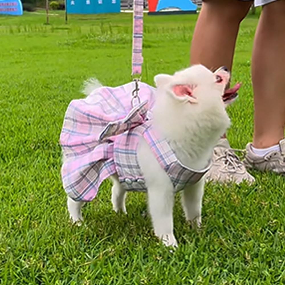 Plaid Dog Dress Harness and Leash Set with Bow Tie Accessories Puppy Clothes for Small Dog Girl Cute Cat Summer Outfit Breathable Mesh Pet Princess Skirt with Pearls (Purple, X-Small)