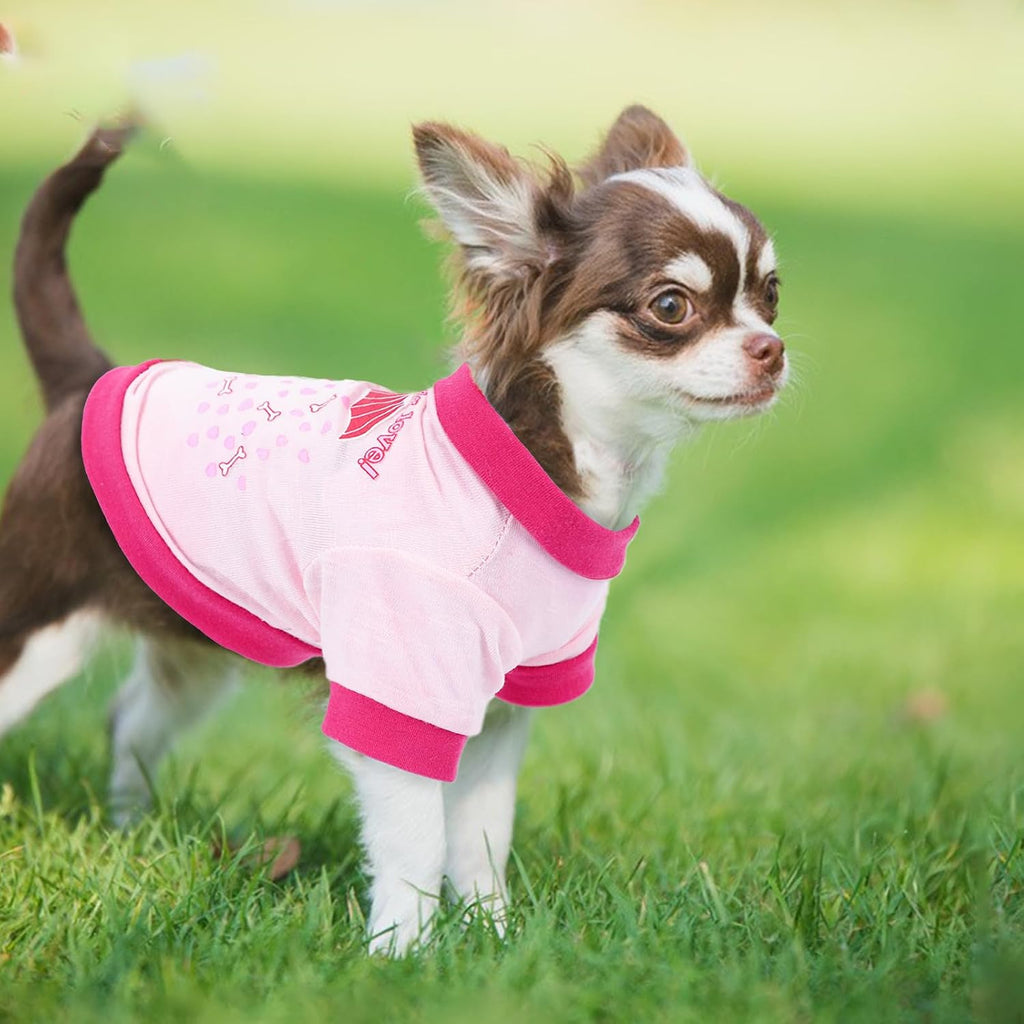 4 Pieces Dog Clothes for Small Dogs Girl Spring Summer Puppy Shirts Cute Soft Pet T-Shirt Cat Outfit for Pets Teacup Chihuahua Yorkie Clothing,Xx-Small