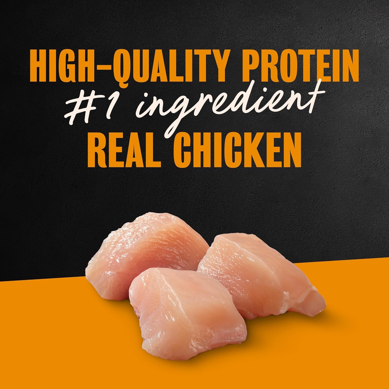 Filets in Gravy Wet Dog Food, Rotisserie Chicken, 3.5 Oz, 24 Count | Real Chicken #1 Ingredient, Easy to Digest, No Fillers or Artificial Flavors, Can Be Used as Food Topper, Easy Peel Trays