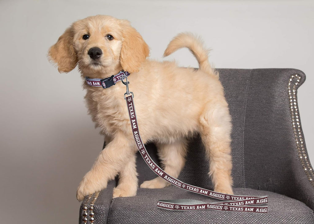 NCAA PET String, Large, Texas A&M Aggies, Dog String, Shiny & Colorful String for Dogs & Cats Licensed by the NCAA, Old Version