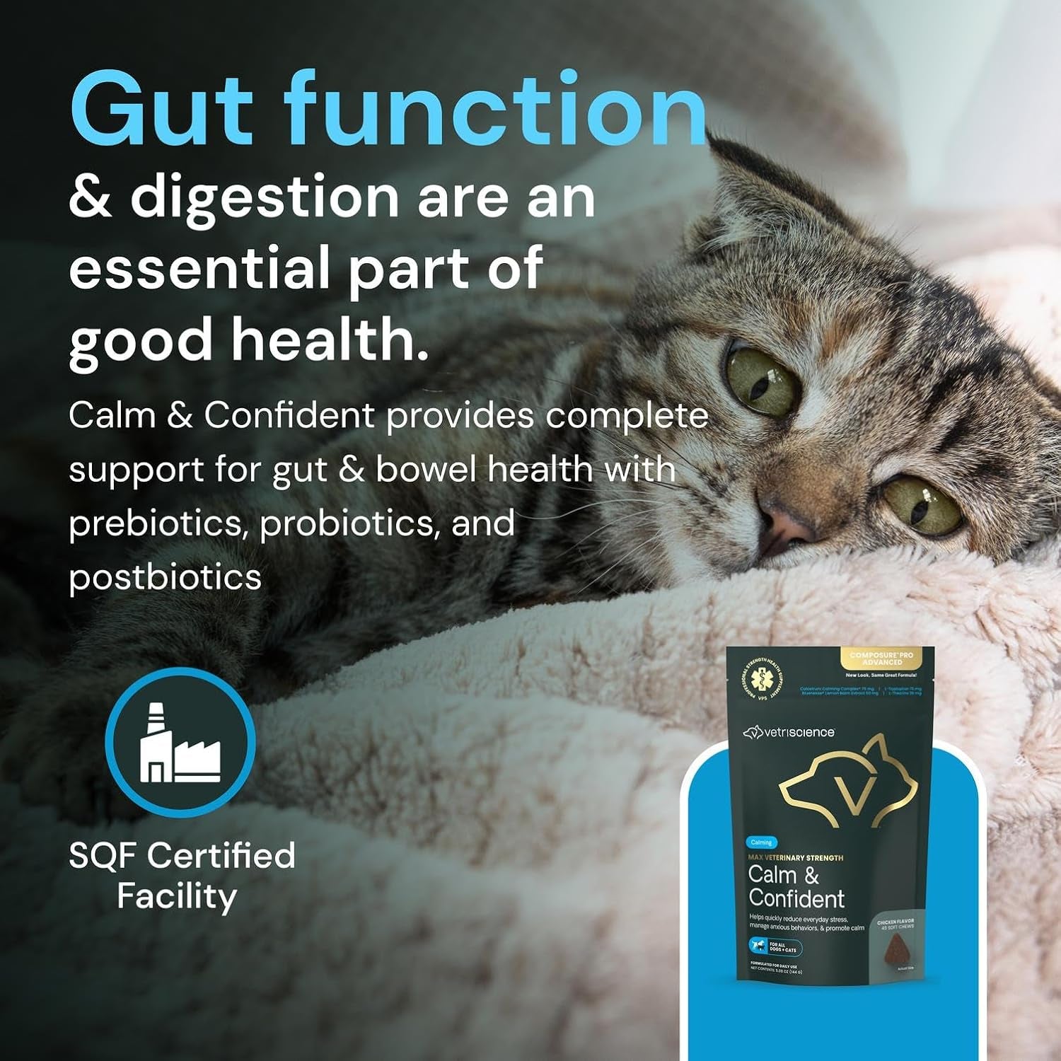 Veterinary Strength Calm & Confident Chews - Stress Supplement for Cats - Supports Brain Function for Cats - with L-Theanine, Thiamine & More - 45 Count