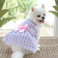 Clearance  Dog Dresses for Small Medium Dogs Girl, Pet Cat Princess Bowknot Dog Clothes, Cute Puppy Summer Outfits Skirt Shirt (Blue, L)